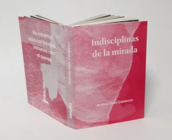 Indisciplinas de la mirada