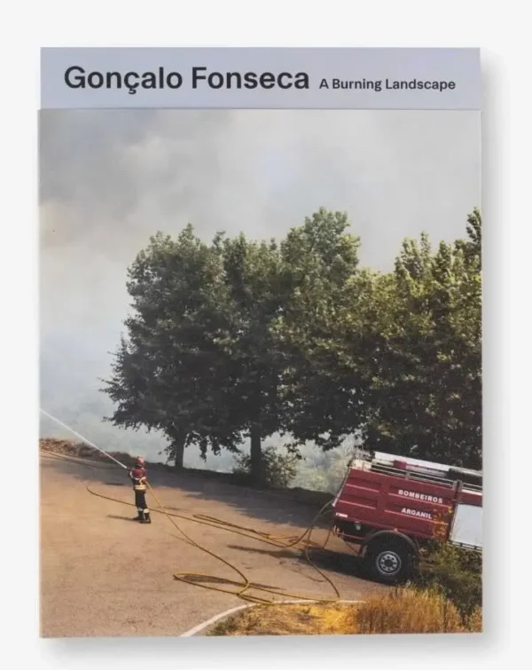 A Burning Landscape