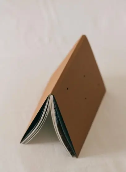 Boomerang
