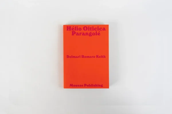 Hélio Oiticica: Parangolé