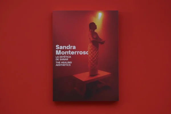 La estética de sanar: ensayos y entrevistas