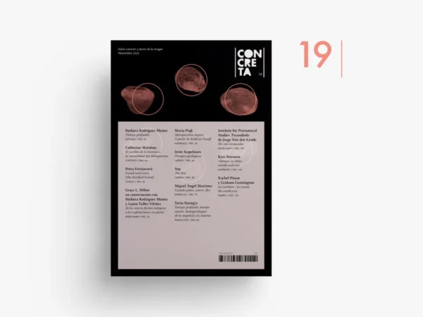 Revista Concreta 19
